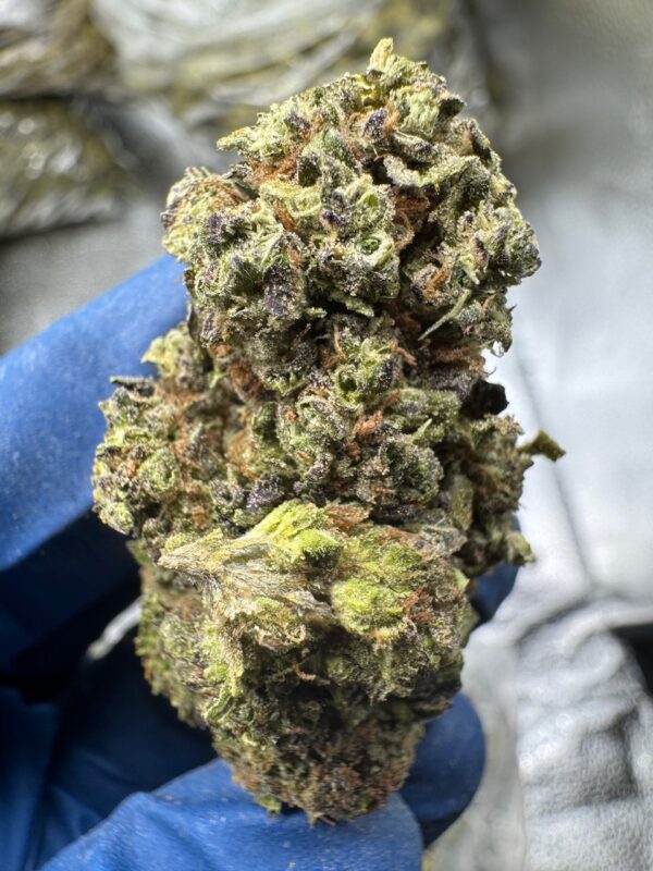 White Widow Digital Art - Image 6
