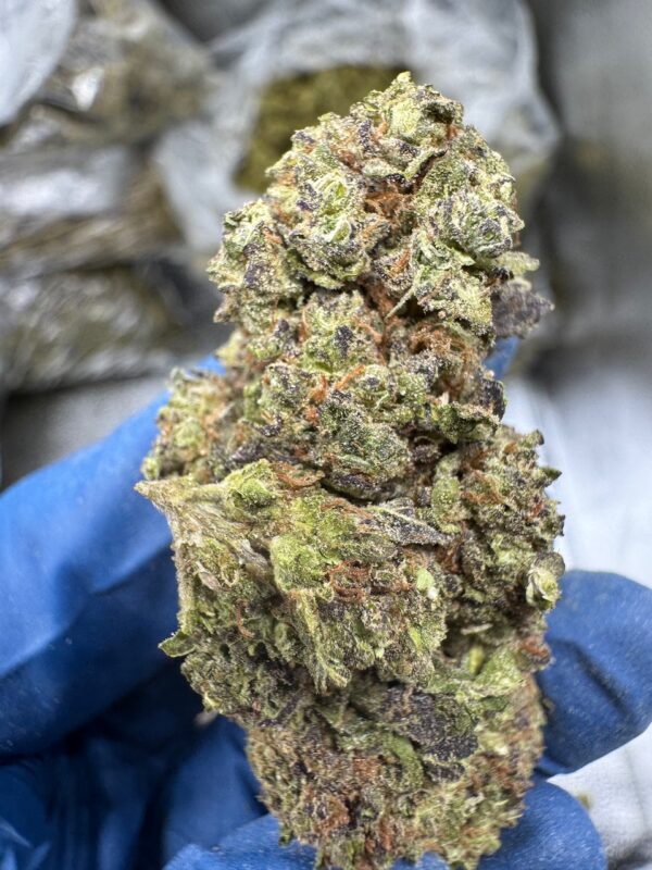 White Widow Digital Art
