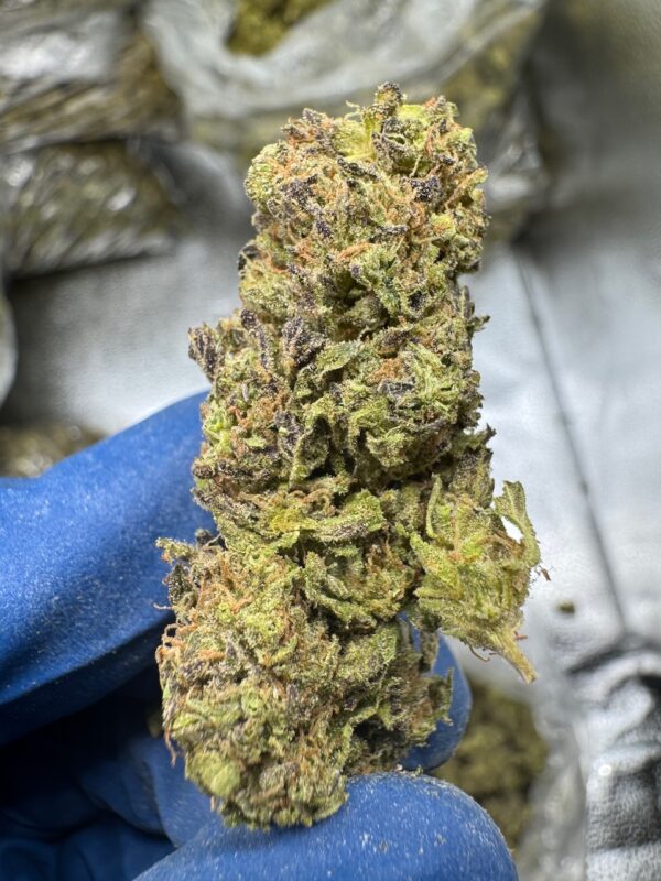 White Widow Digital Art - Image 8