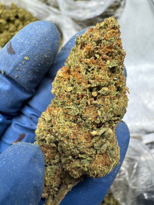 Cotton Dandy Kush Digital Art - Image 2