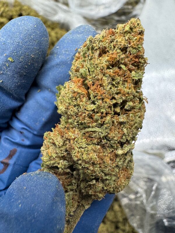 Cotton Dandy Kush Digital Art - Image 3