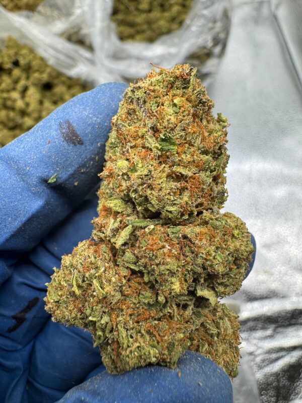 Cotton Dandy Kush Digital Art - Image 4