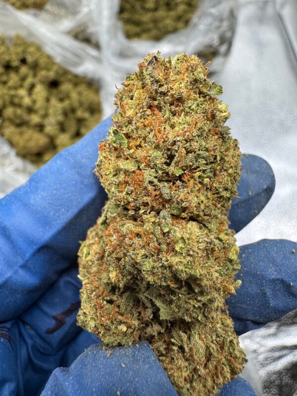 Cotton Dandy Kush Digital Art - Image 5