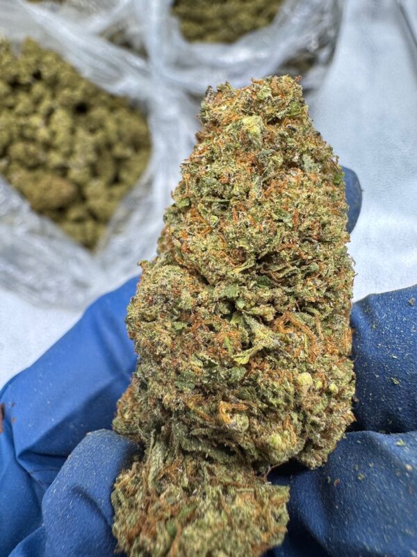 Cotton Dandy Kush Digital Art - Image 6