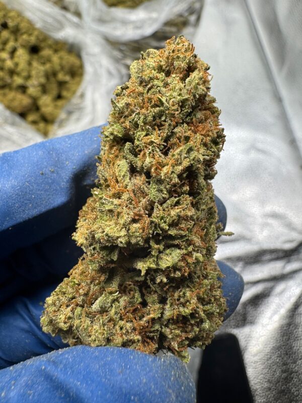 Cotton Dandy Kush Digital Art - Image 9