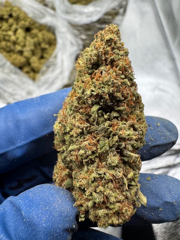 Cotton Dandy Kush Digital Art - Image 8