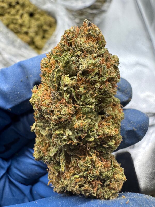 Cotton Dandy Kush Digital Art - Image 11