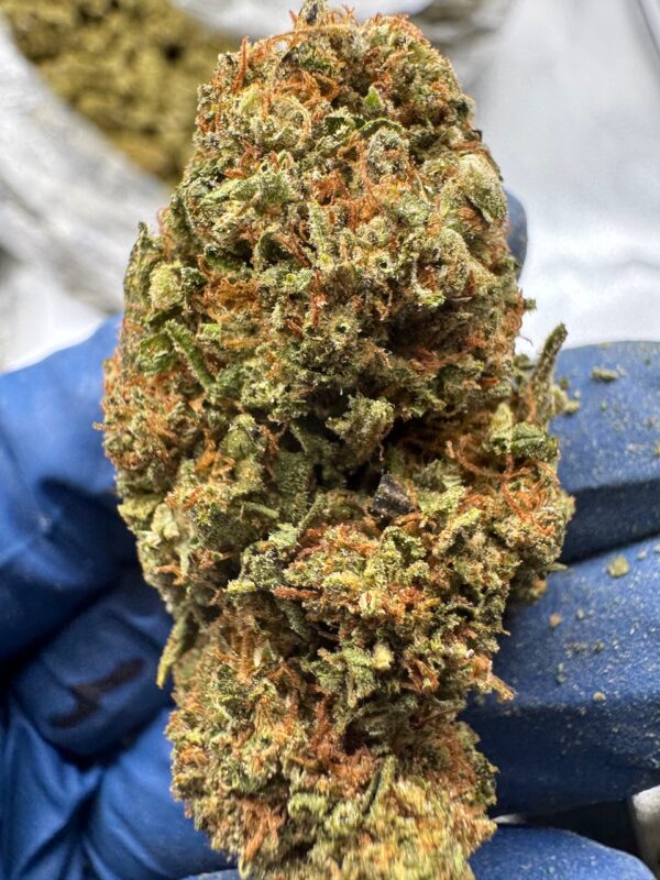 Cotton Dandy Kush Digital Art