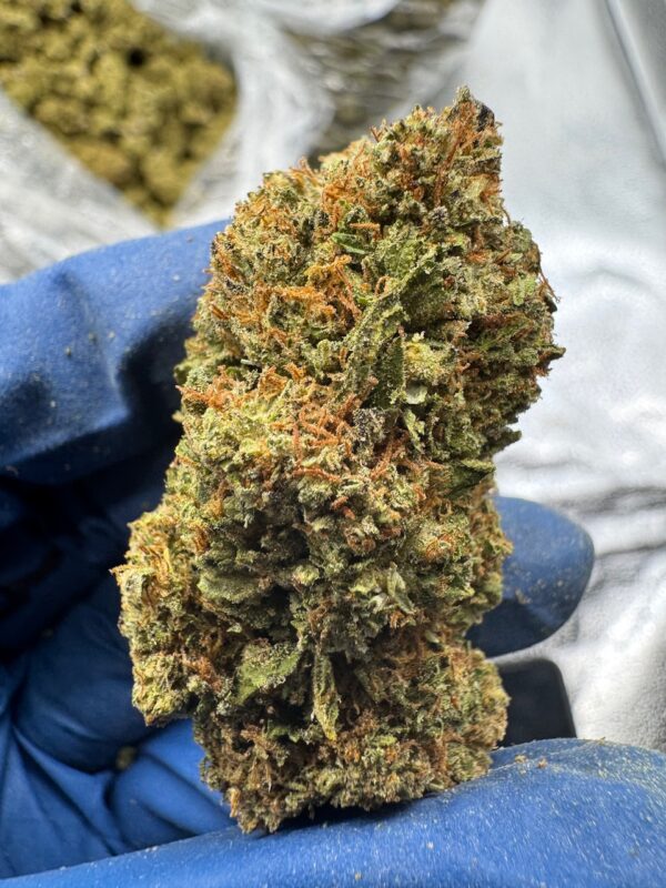 Cotton Dandy Kush Digital Art - Image 13