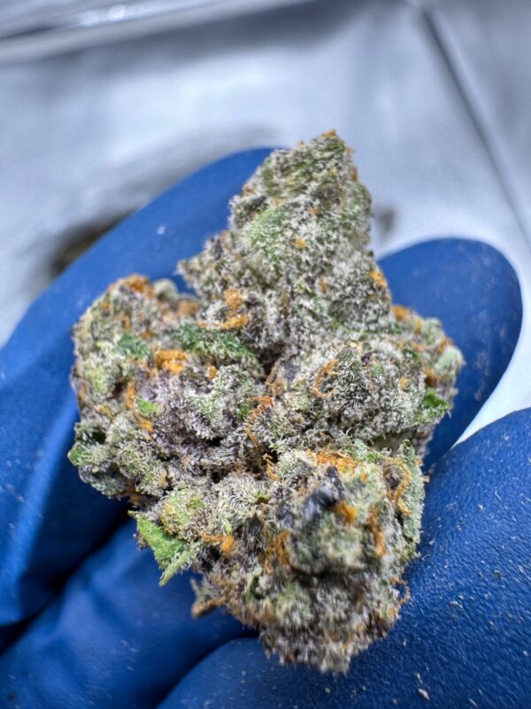 Grand Daddy Purple Digital Art - Image 3