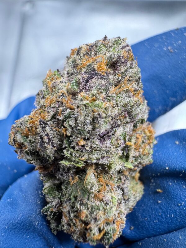 Grand Daddy Purple Digital Art