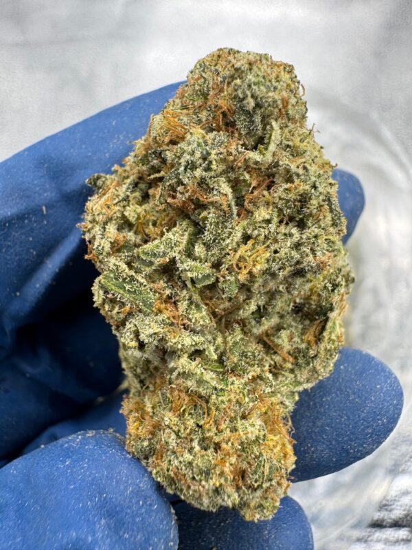 Jealousy Kush Mintz Digital Art - Image 8