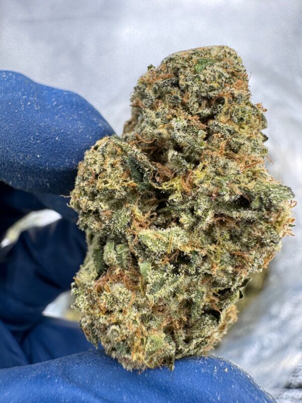 Jealousy Kush Mintz Digital Art - Image 10