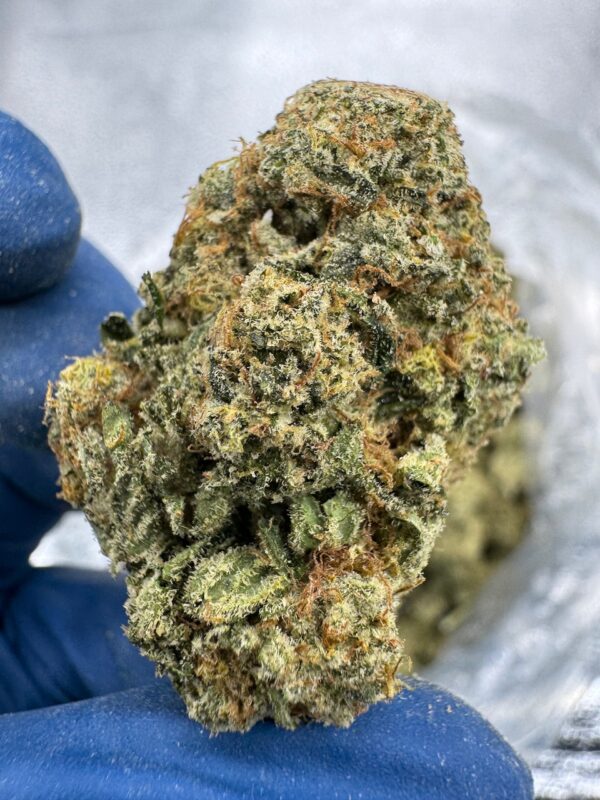 Jealousy Kush Mintz Digital Art