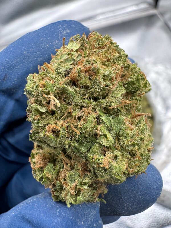 Durban Poison Digital Art