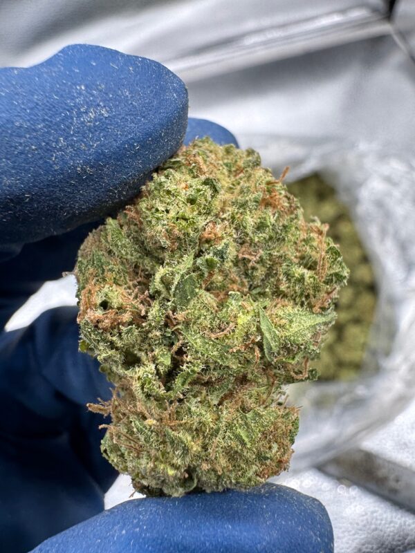 Durban Poison Digital Art - Image 7