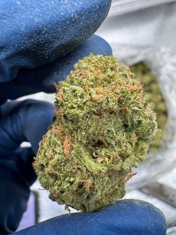 Durban Poison Digital Art - Image 4