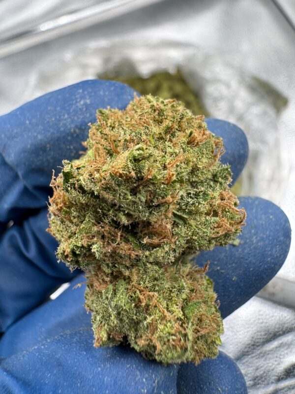 Durban Poison Digital Art - Image 5