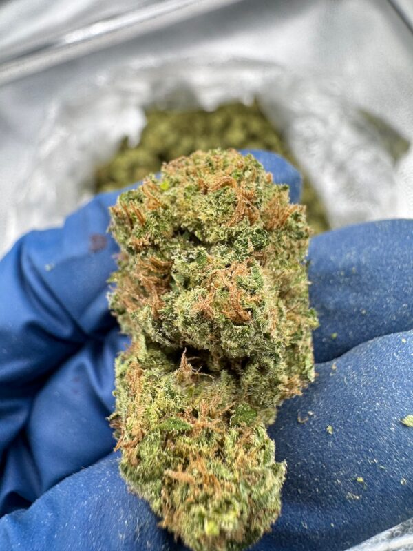 Durban Poison Digital Art - Image 6