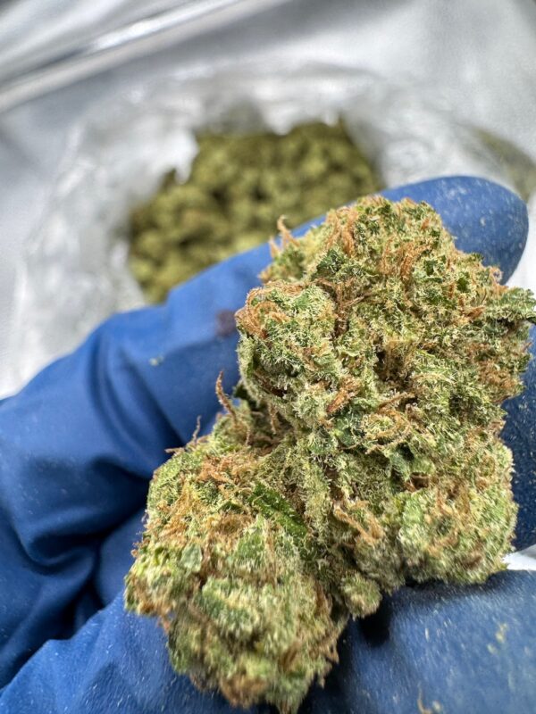Durban Poison Digital Art - Image 3