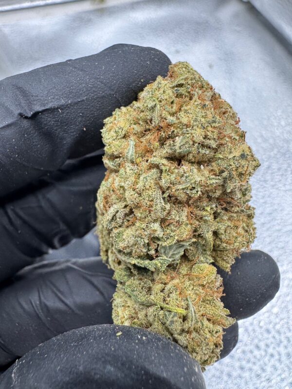 Glue Tang Haze Digital Art - Image 8