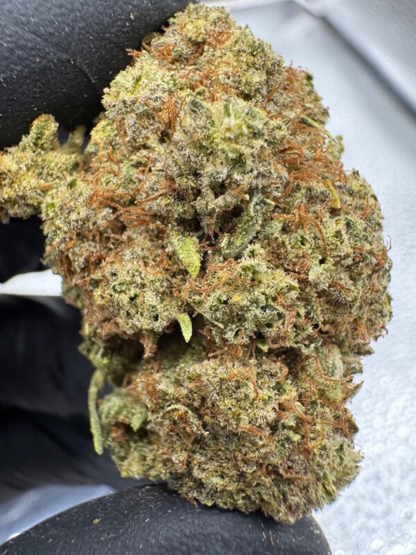 Glue Tang Haze Digital Art - Image 7