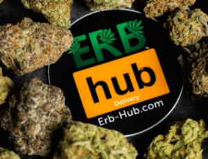 Close-up of ERB-Hub logo sticker