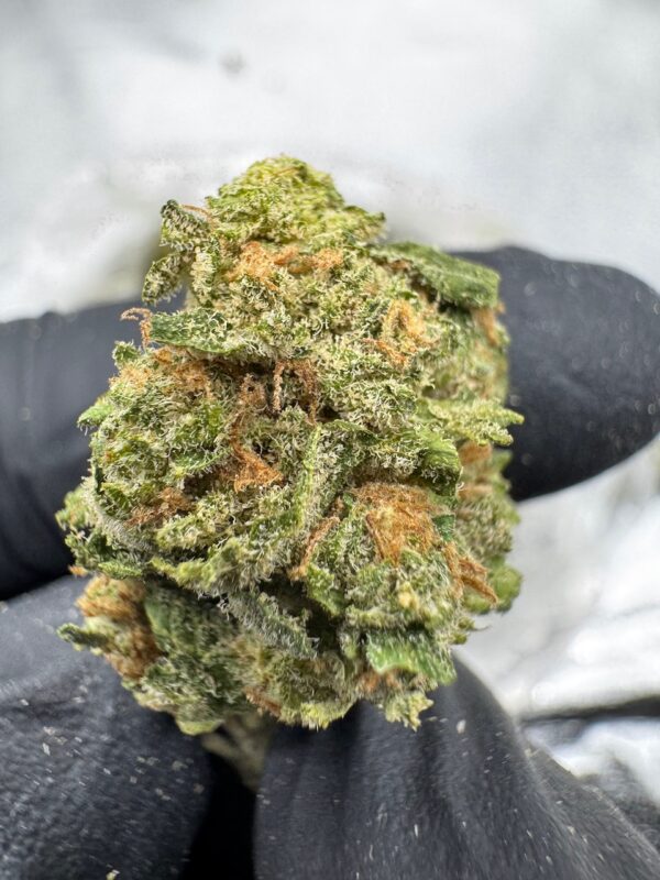 Blue Dream Digital Art - Image 8