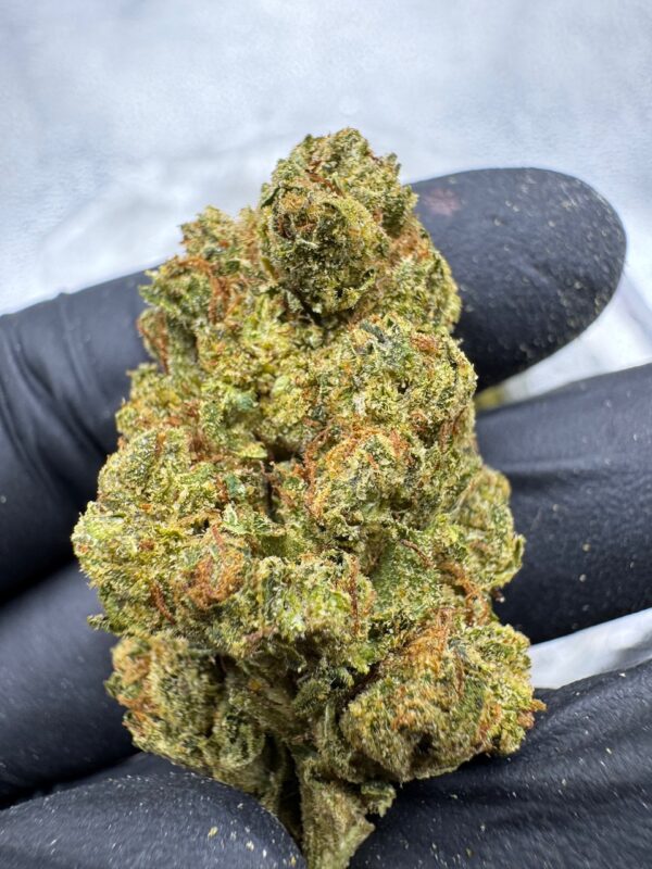 Skywalker OG Digital Art