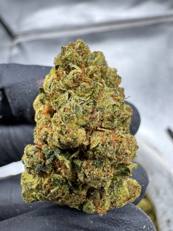 Skywalker OG Digital Art - Image 7