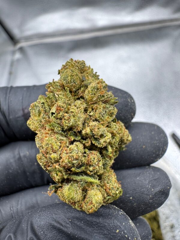 Skywalker OG Digital Art - Image 8