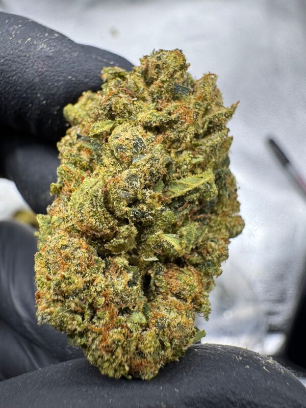 Skywalker OG Digital Art - Image 9