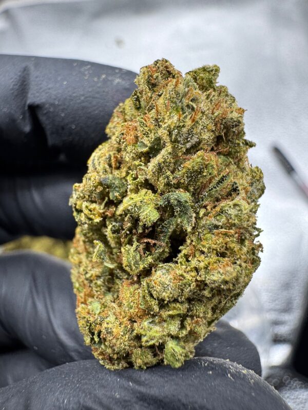 Skywalker OG Digital Art - Image 11