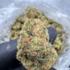 East Coast Sour Diesel Digital Art - Image 4