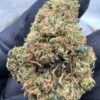 East Coast Sour Diesel Digital Art - Image 6