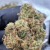 East Coast Sour Diesel Digital Art - Image 5