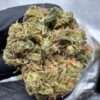 East Coast Sour Diesel Digital Art - Image 9
