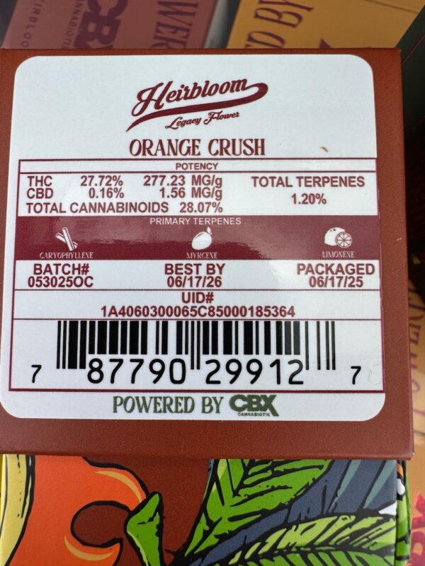 Orange Crush 3.5 by Heirbloom CBX Digital Art - Image 2
