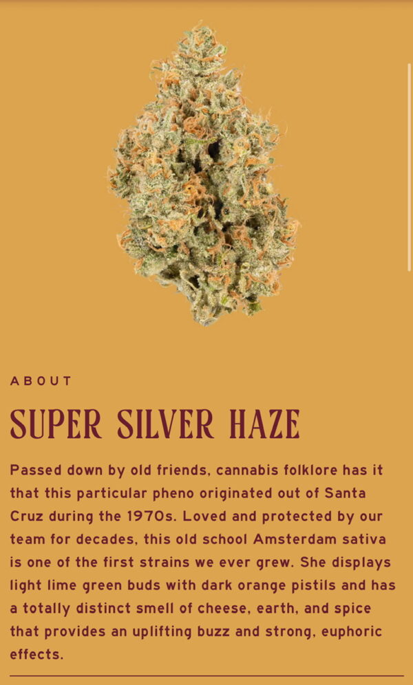 Super Silver Haze 3.5 by Heirbloom CBX Digital Art - Image 2