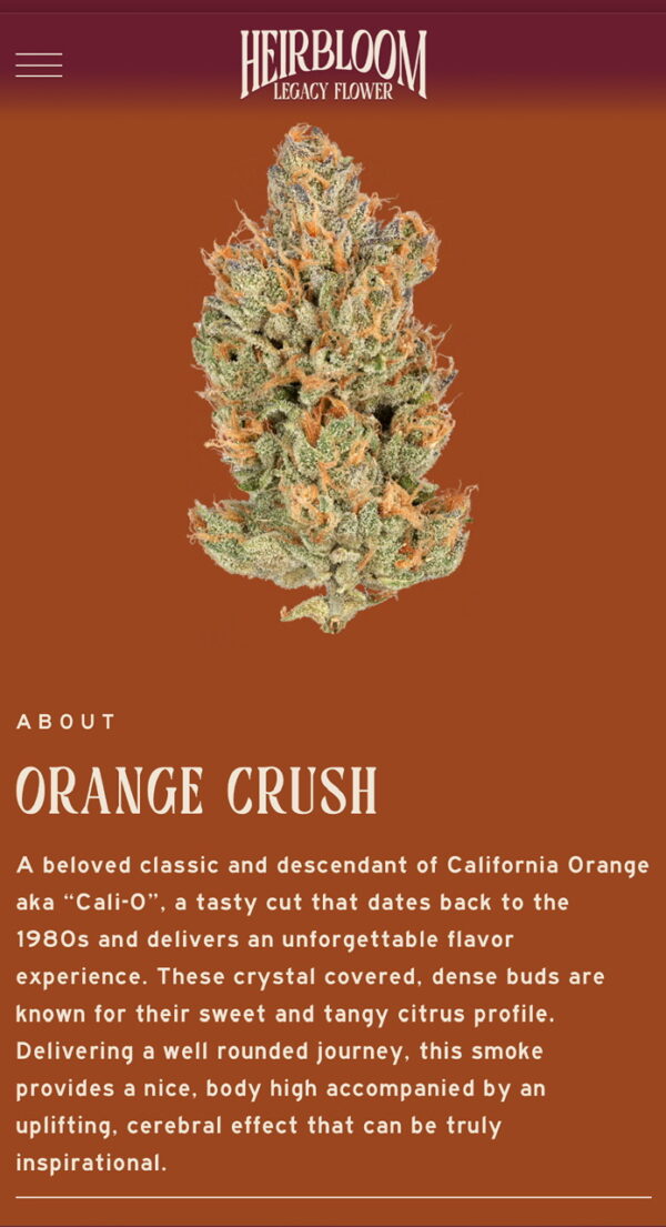 Orange Crush 3.5 by Heirbloom CBX Digital Art - Image 4