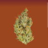 Super Lemon Haze 3.5 by Heirbloom CBX Digital Art - Image 3