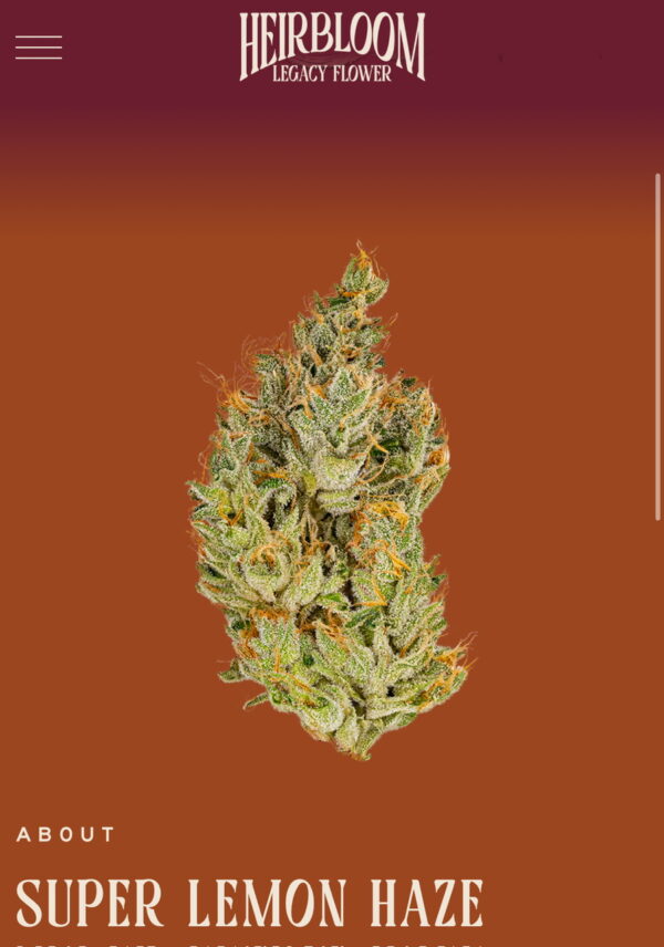 Super Lemon Haze 3.5 by Heirbloom CBX Digital Art