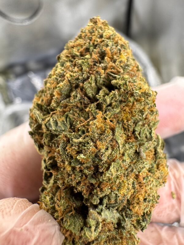 Tahoe OG Digital Art