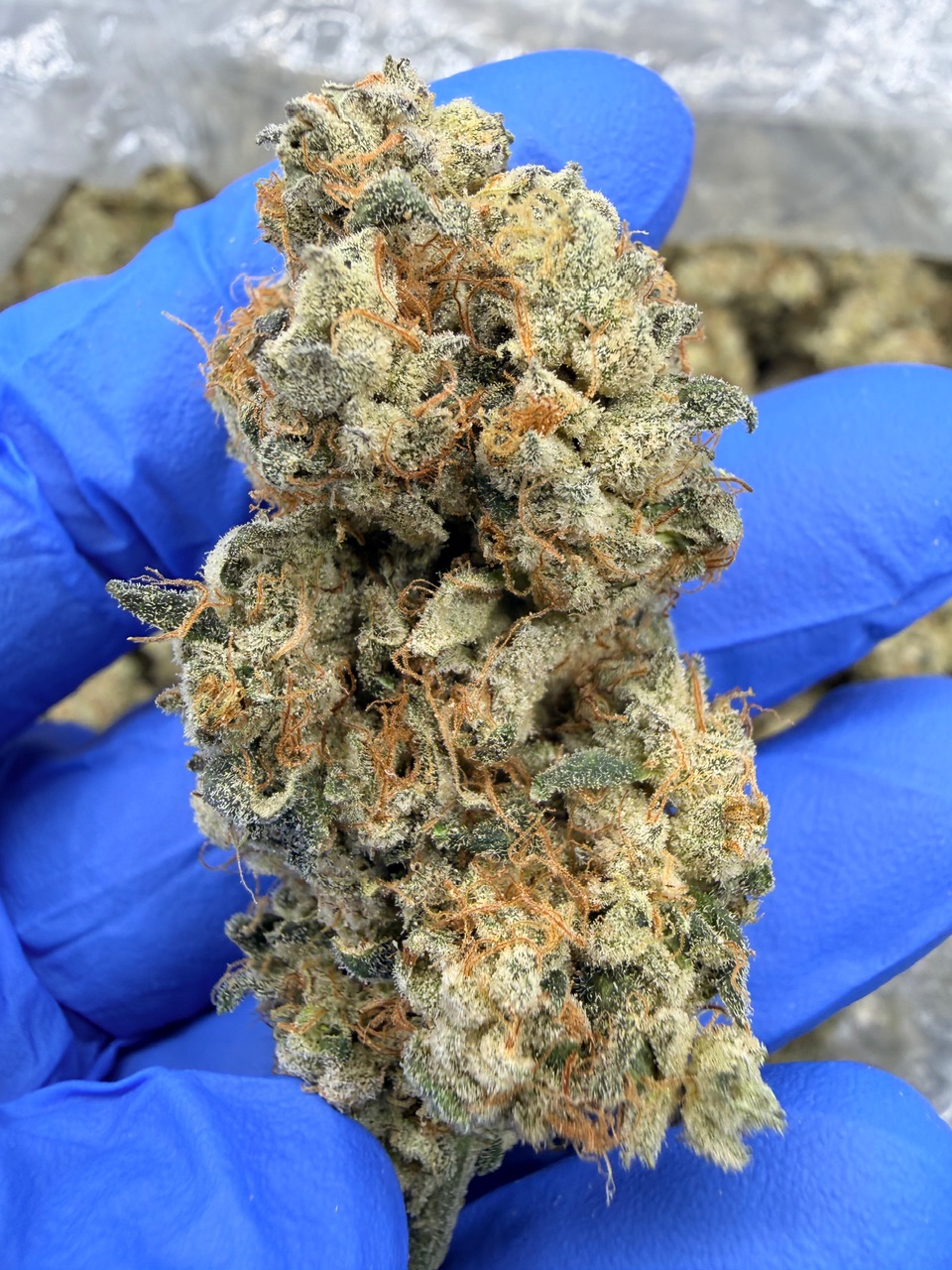 NYC Diesel Digital Art - Image 2