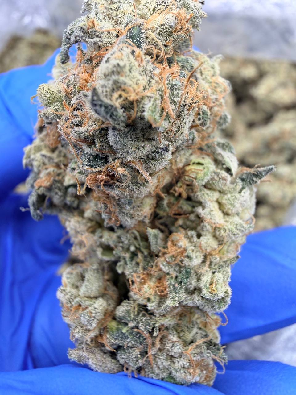 NYC Diesel Digital Art - Image 3