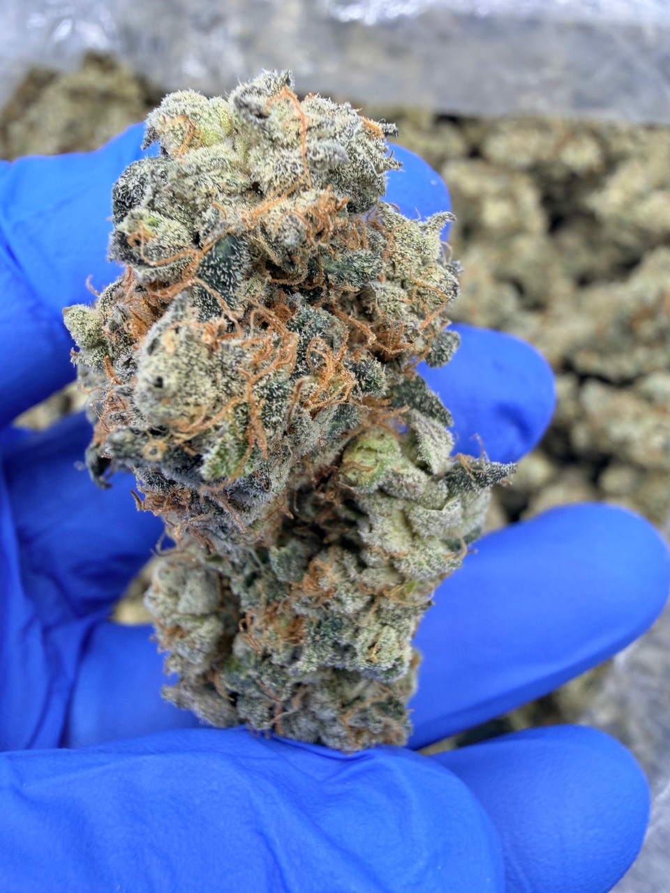 NYC Diesel Digital Art - Image 4