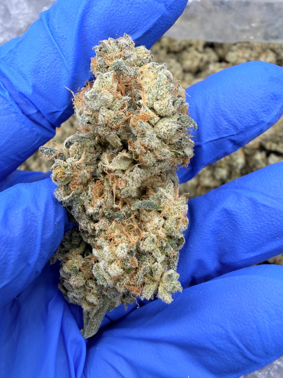 NYC Diesel Digital Art - Image 5