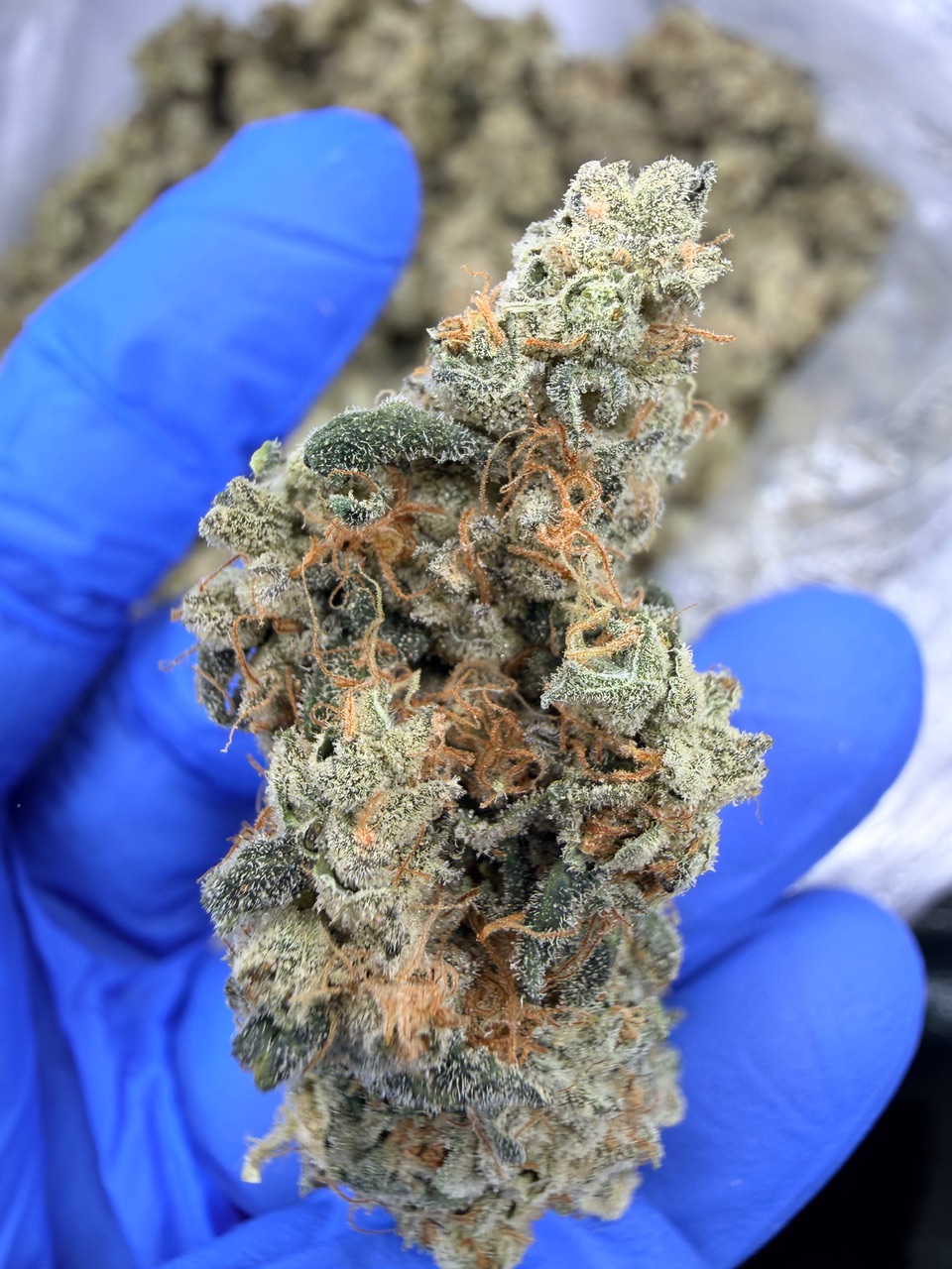 NYC Diesel Digital Art - Image 7