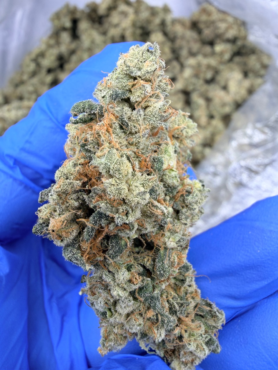 NYC Diesel Digital Art - Image 6