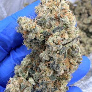 NYC Diesel Digital Art